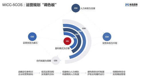 縱合咨詢（MICC） 戰略定位與管理咨詢領域的特色品質企業